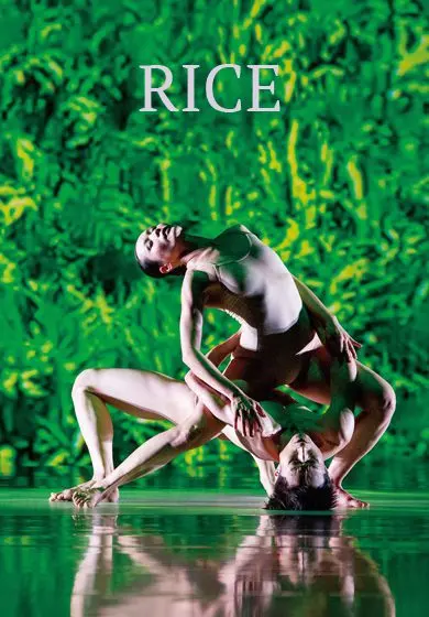 Cartel de Rice