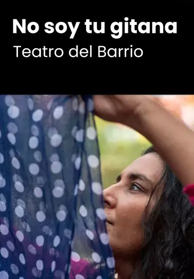 Cartel de No soy tu gitana