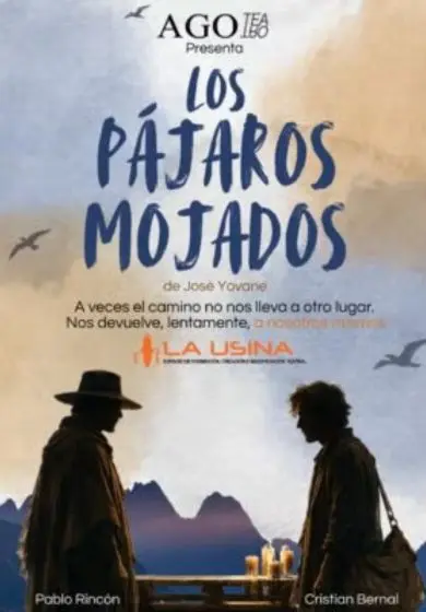 Cartel de Los pájaros mojados