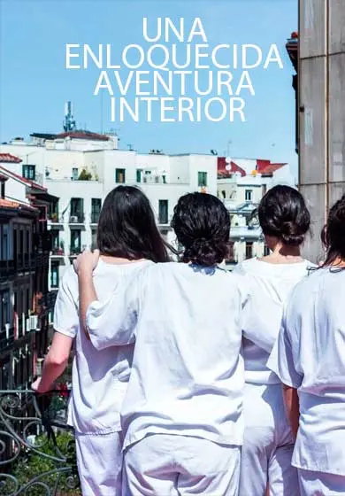 Cartel de Una enloquecida aventura interior