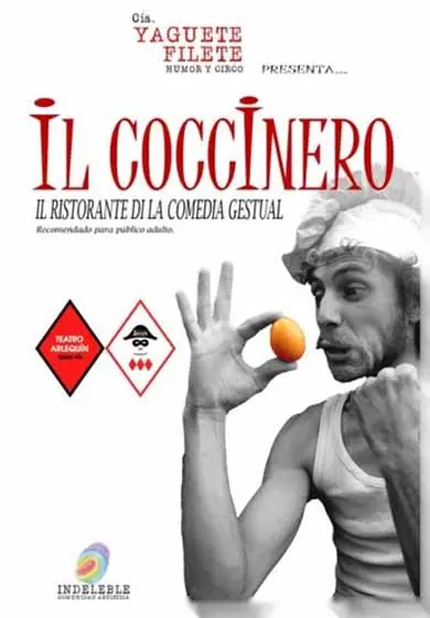Cartel de Il Coccinero