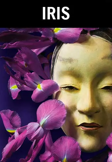 Cartel de Pietro Mascagni: Iris