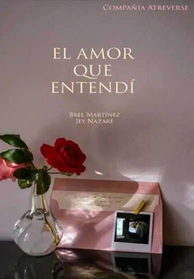 Cartel de El amor que entendí