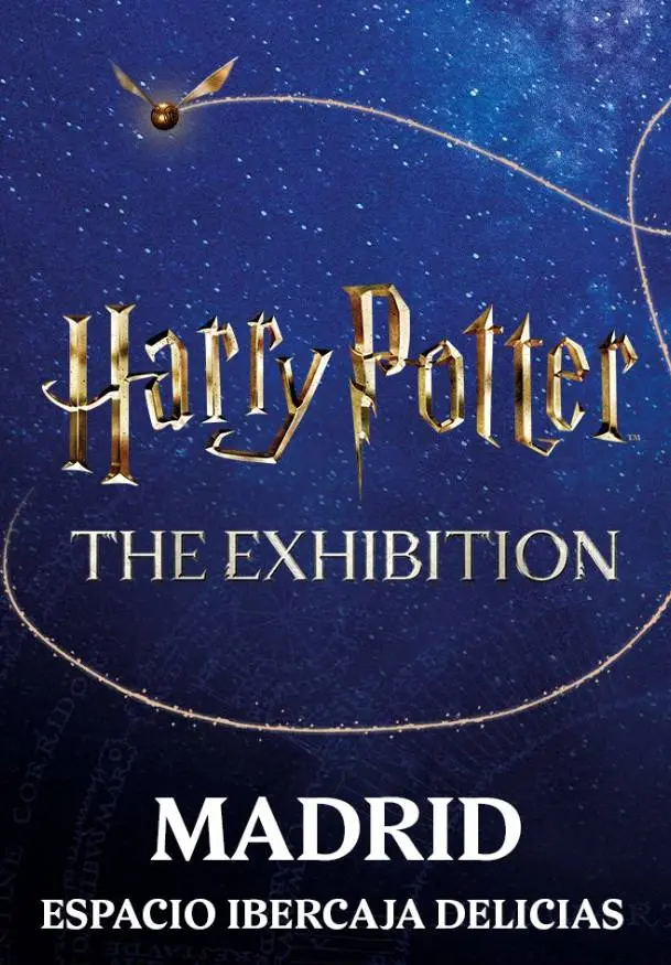 Cartel de Harry Potter: The Exhibition