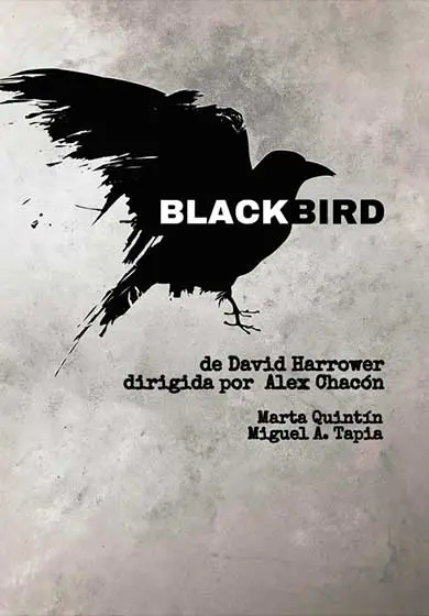 Cartel de Álex Chacón: Blackbird