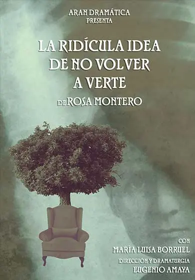 Cartel de La ridícula idea de no volver a verte