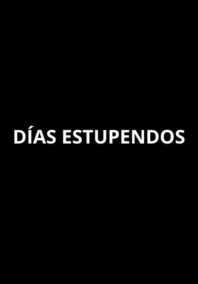 Cartel de Días estupendos