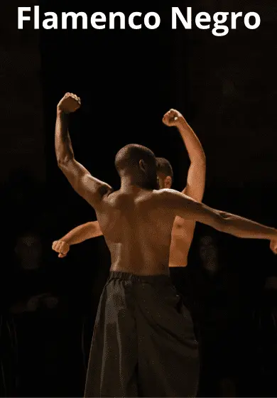Cartel de Flamenco Negro