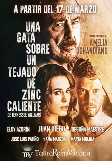 Cartel de Una Gata sobre un Tejado de Zinc Caliente
