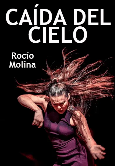 Cartel de Caída del cielo