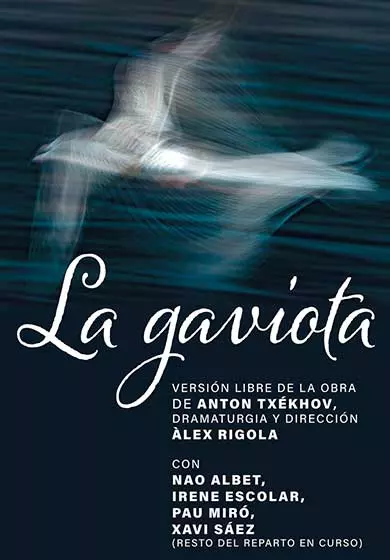 Cartel de La gaviota - Álex Rigola