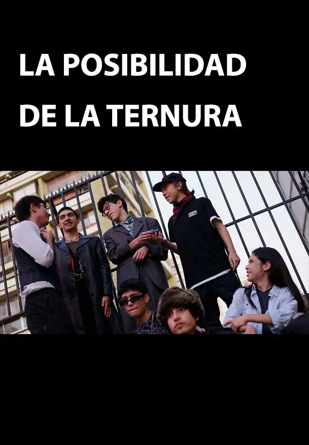 Cartel de La posibilidad de la ternura