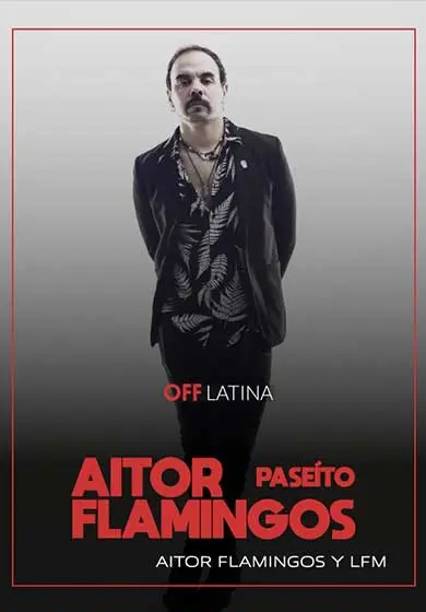 Cartel de Aitor Flamingos: Paseíto