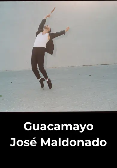 Cartel de Guacamayo