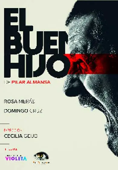 Cartel de El buen hijo