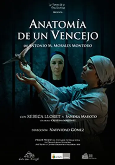 Cartel de Anatomía de un Vencejo