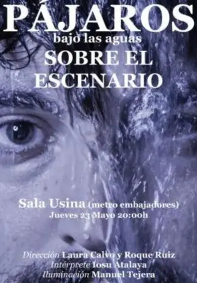 Cartel de Pájaros bajo las aguas