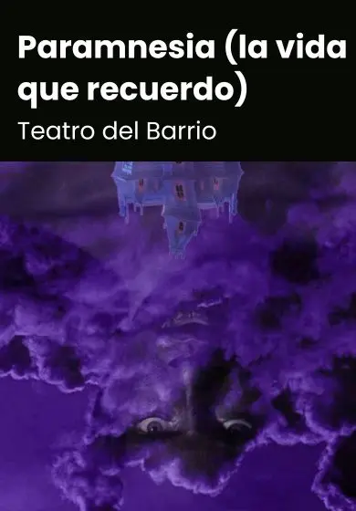Cartel de Paramnesia (la vida que recuerdo)