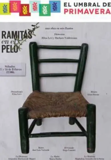 Cartel de Ramitas en el pelo