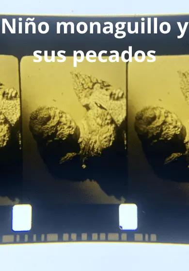 Cartel de Niño monaguillo y sus pecados