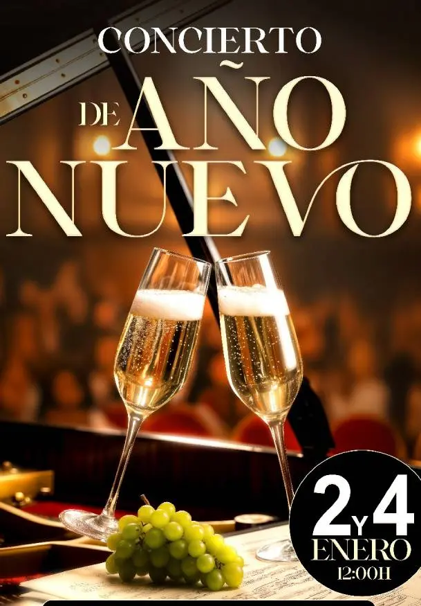 Cartel de Concierto de año nuevo