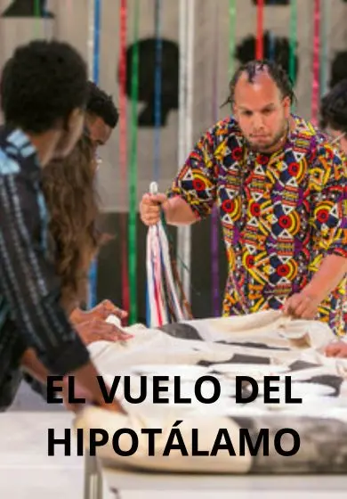 Cartel de El vuelo del hipotálamo