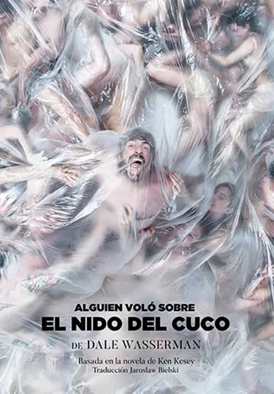 Cartel de Alguien voló sobre el nido del cuco