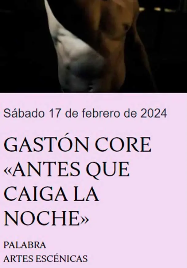 Cartel de Antes que caiga la noche