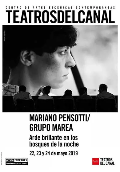 Cartel de Mariano Pensotti / Grupo Marea: Arde brillante en los bosques de la noche