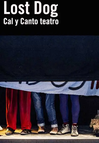 Cartel de Lost Dog