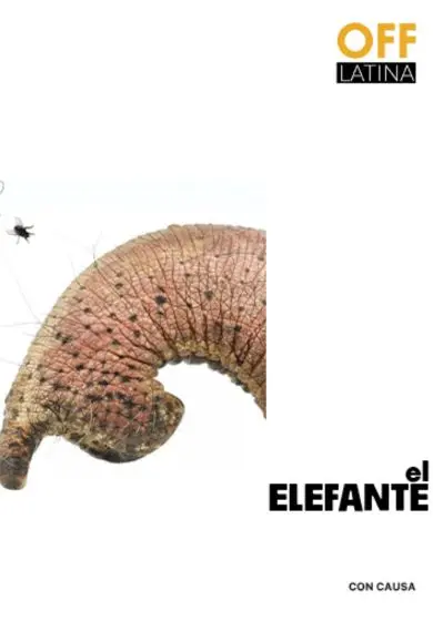 Cartel de El elefante