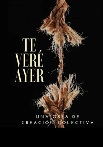 Cartel de Te veré ayer