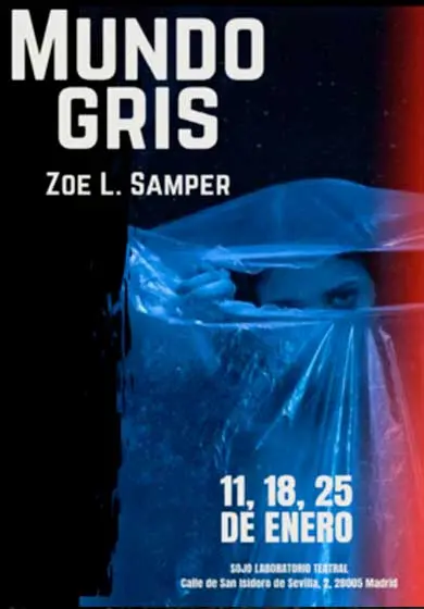 Cartel de Mundo gris