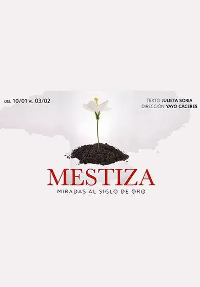 Cartel de Mestiza