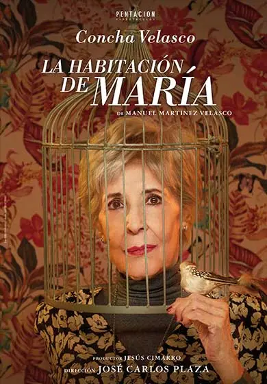 Cartel de La habitación de María