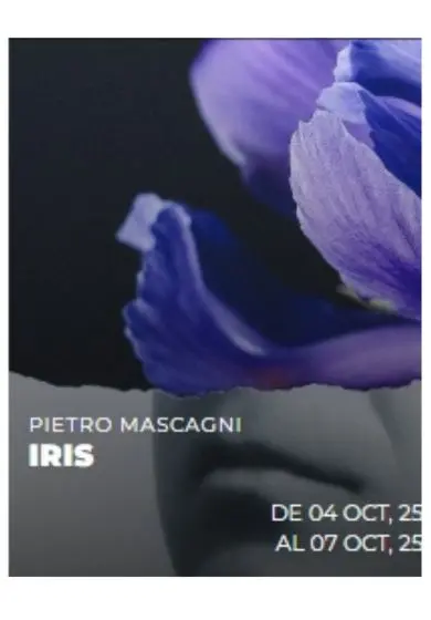 Cartel de Iris