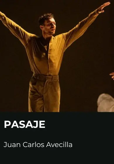 Cartel de Pasaje