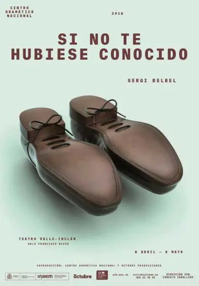 Cartel de Si no te hubiese conocido