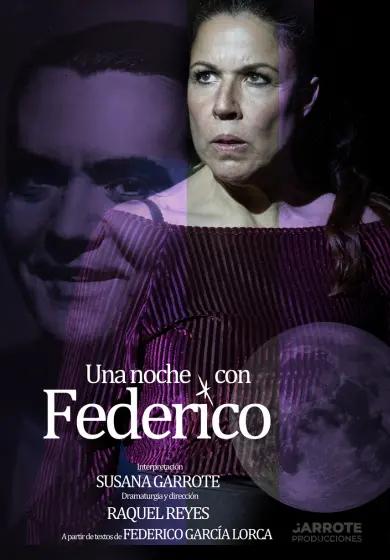 Cartel de Una noche con Federico