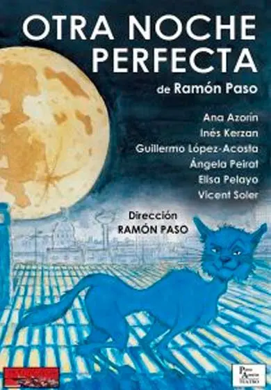 Cartel de Otra noche perfecta