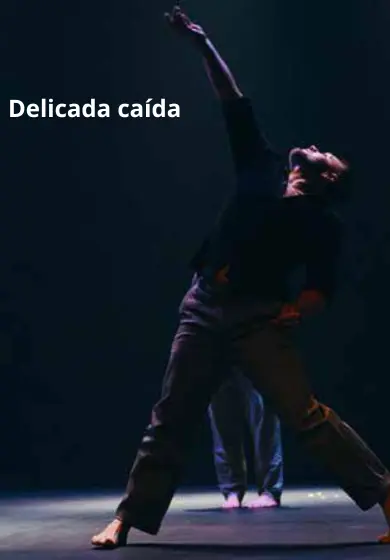 Cartel de Delicada caída - Provisional Danza / Carmen Werner