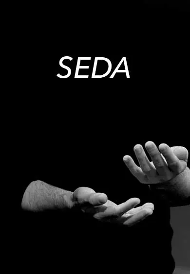 Cartel de Seda