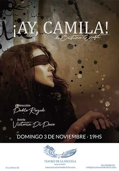 Cartel de ¡Ay, Camila!
