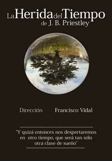 Cartel de La herida del tiempo
