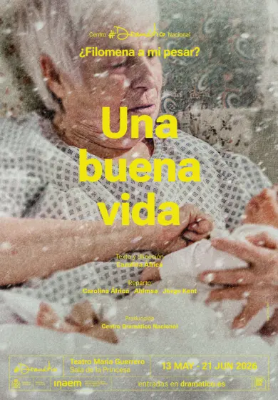 Cartel de Una buena vida