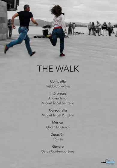 Cartel de The walk