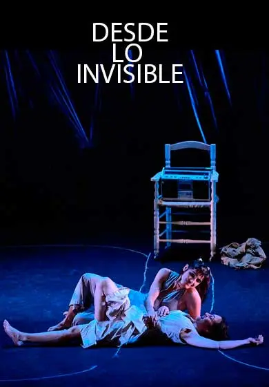 Cartel de Desde lo invisible