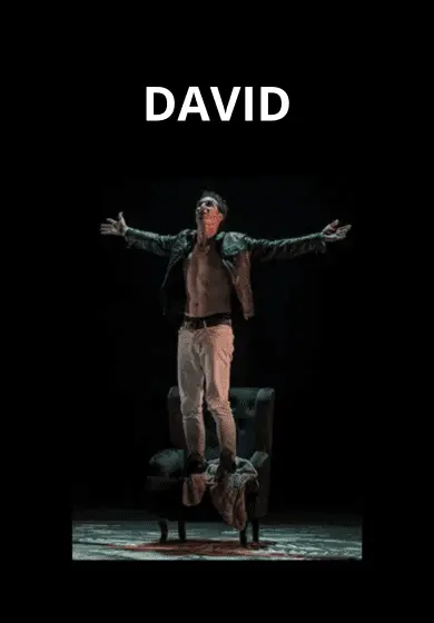Cartel de David