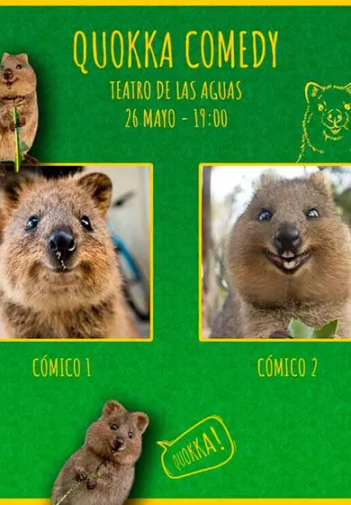 Cartel de Quokka comedy