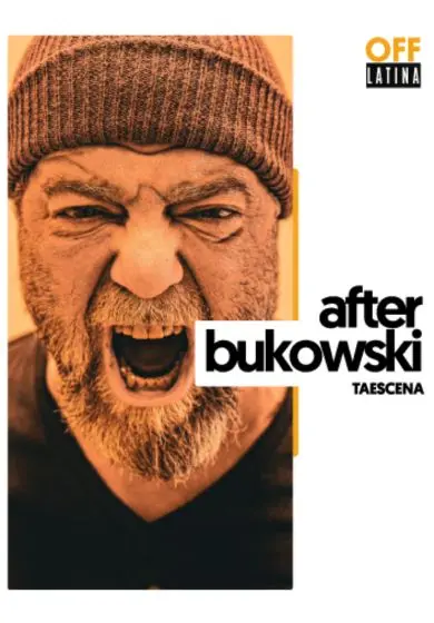 Cartel de After Bukowski